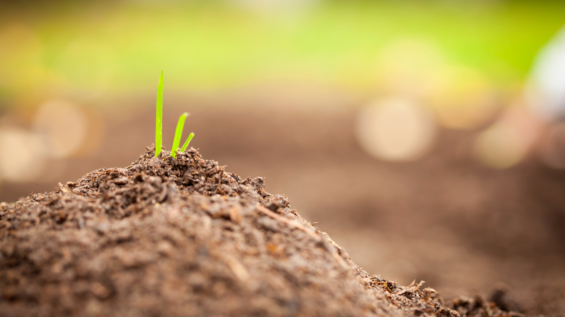 What Is Perc Testing—and Why Perc Season Matters for Your Property Development